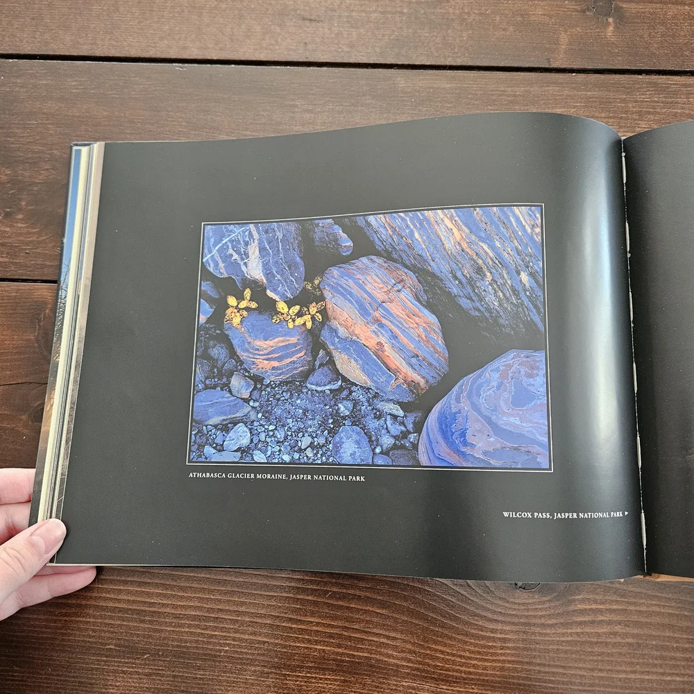 Alberta: Images by Daryl Benson -‎ Hardcover Photo Coffee Table Book Light Brown - Picture 4 of 8